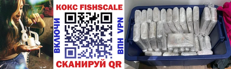 Cocaine FishScale  как найти наркотики  Чёрмоз 
