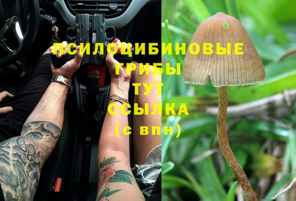 ешки Магас