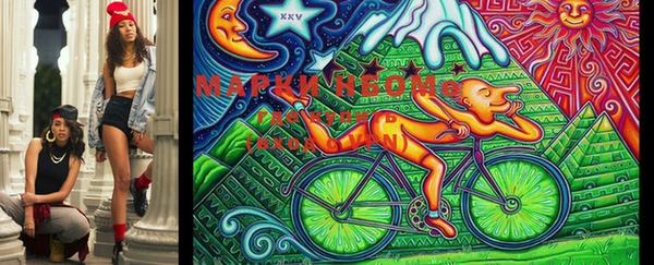 шишки Магадан