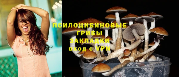 хмурый Майский