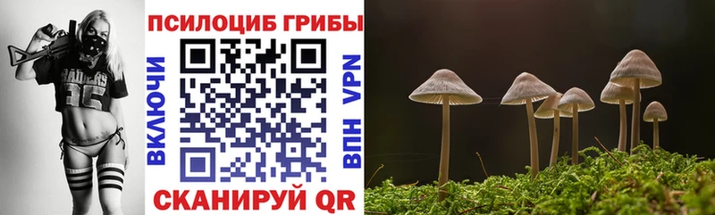 mega как войти  Чёрмоз  Галлюциногенные грибы прущие грибы 
